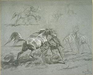 chevaux combats