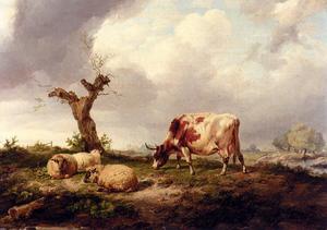 一个 牛  与  羊  在  一个  风景