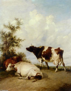 Cows in a Meadow