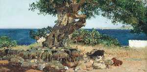 El árbol de algarrobo