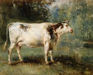一个 牛  在  一个  风景