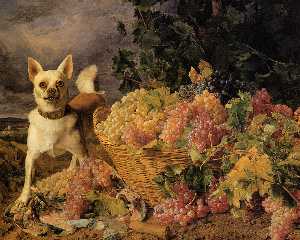 Собака по корзина винограда в пейзаже