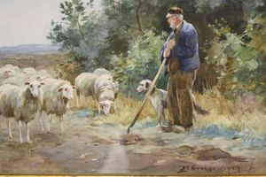 agricultor con ovejas y perro