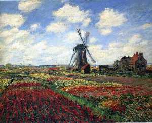 campo de tulipas em holland