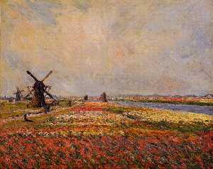 Blumenfelder und Windmühlen in der Nähe von Leiden