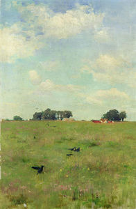 Field with Trees and Sky