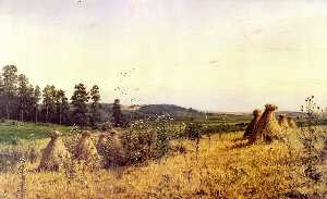 Landscape in Polessie