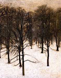 Landscape in the Snow