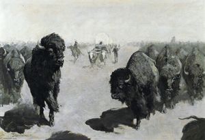Lane durch die Büffel-Herde