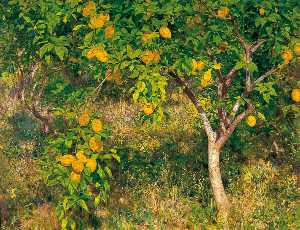 el limón árbol