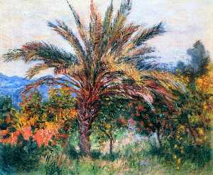 Palm Tree at Bordighera