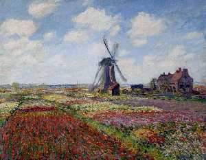 Campos de Tulipán con el Rijnsburg Molino de viento