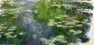 Water Lilies (68)