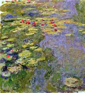 Water Lilies (71)
