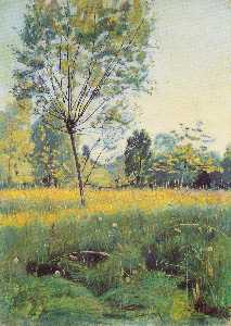 The Golden meadow