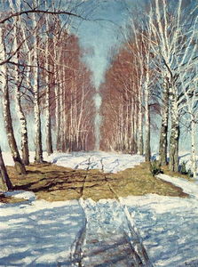 Avenue of Birch Trees