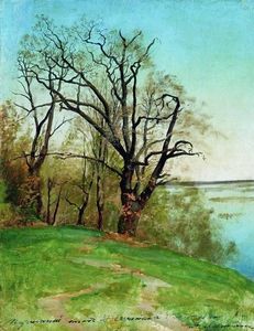 Oak sulla riva del fiume