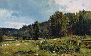 Meadow at the forest edge. Siverskaya