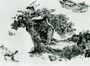 группа лиственный деревьев а камни