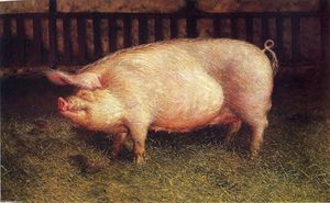 retrato de cerdo