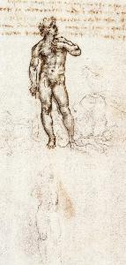 Study of David by Michelangelo