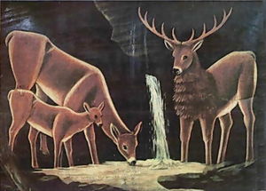 The family of deer
