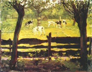 犊牛 在  一个  领域  镶上  通过  柳树  树