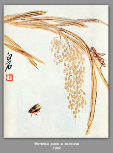 拂水稻和蚱蜢