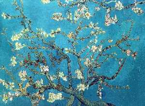 Branches with Almond Blossom