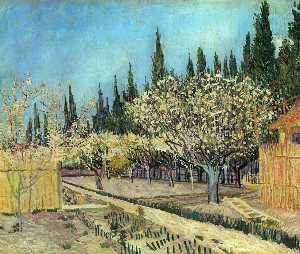 Orchard in Blossom, Bordered by Cypresses