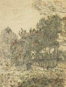 Pine Trees near the Wall of the Asylum