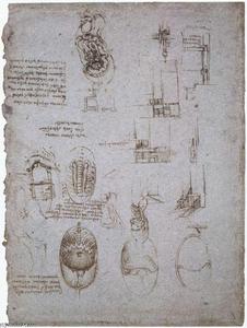 Studies of the Villa Melzi and anatomical study