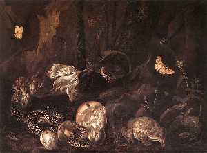 Still-Life with Insects and Amphibians