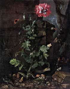 Still-Life with Poppy, Insects, and Reptiles