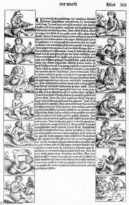 Crónica de Nuremberg, Folio 12: Otras naciones