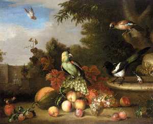 nature morte de  fruits  et  oiseaux