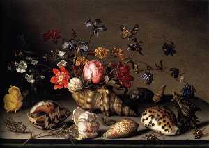 Still-Life of Flowers, Shells, and Insects