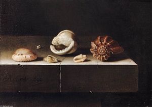 Five Shells on a Slab of Stone