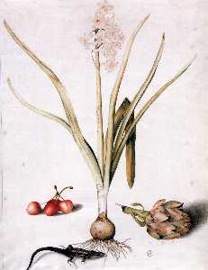 Hyacinth with Four Cherries, a Lizard, and an Artichoke