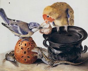 鹦鹉，蓝山雀，两个蜥蜴和花瓶