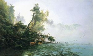 霧の深い朝 オン  ラケット  湖