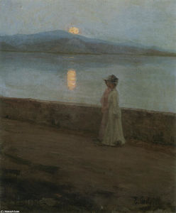 Moonlight on the lake