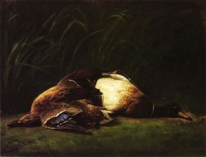 Naturaleza Mort - Gallina y pato silvestre de Drake