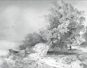 Old oak near abrupt coast of river