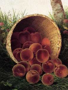 Pfirsiche in ein  nach oben gewandt  korb