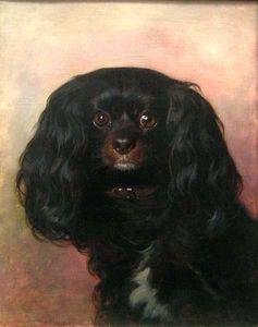 Portrait of a Favorite Dog