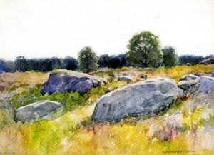 roches à une champ