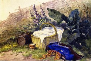 Still LIfe: Basket, Foxgloves, Clothes and Other Objects