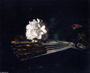 Still Life with a Fan and a Carnation