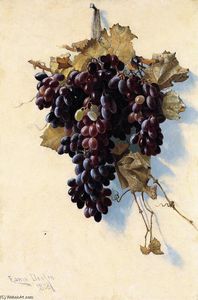 Still LIfe with Grapes